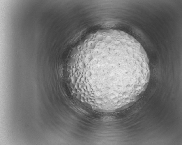 X0000080130549200612302039