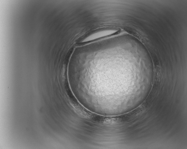 X0000080130550200612302039