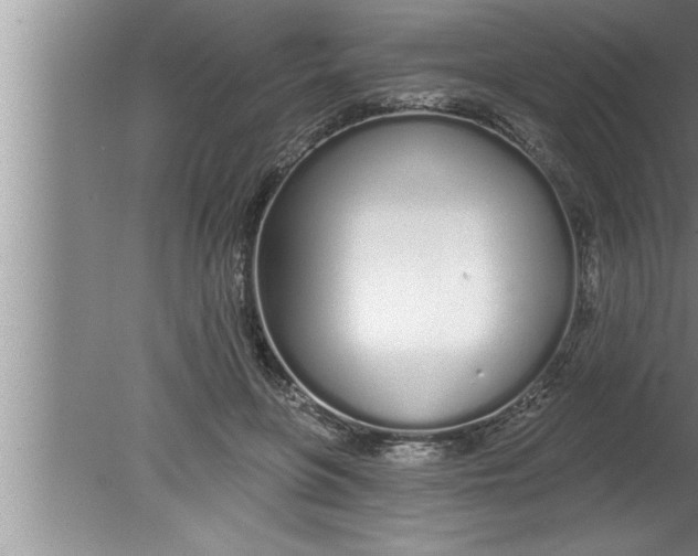 X0000080130551200612302039