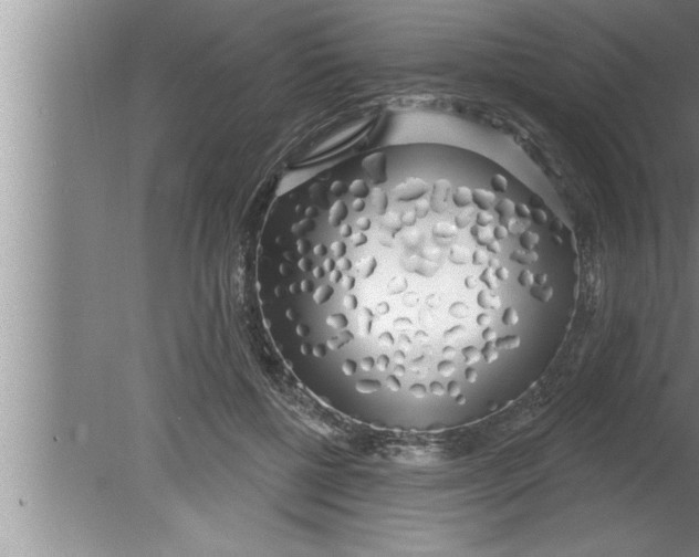 X0000080130552200612302039