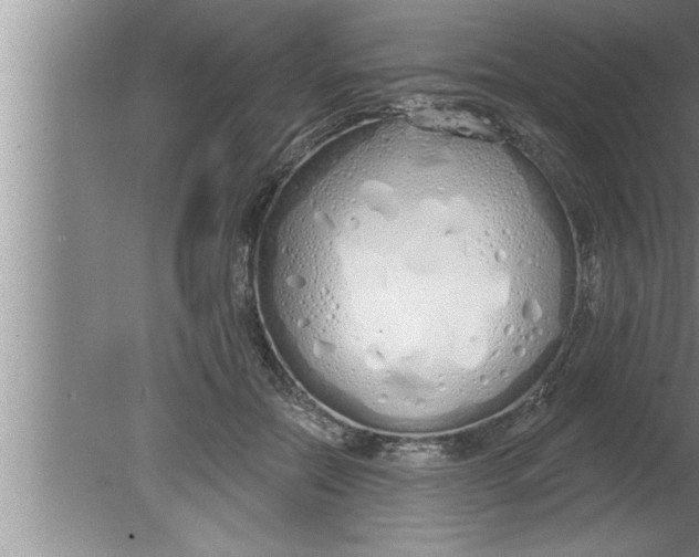 X0000080130554200612302039