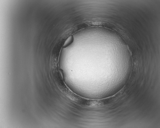 X0000080130555200612302039