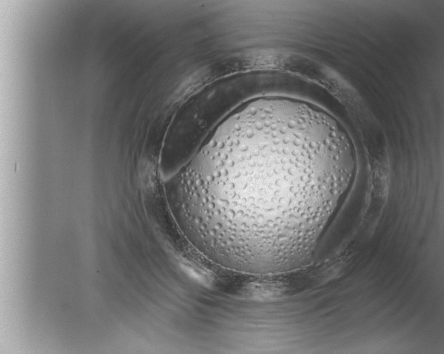 X0000080130556200612302039