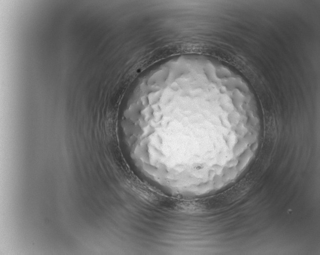 X0000080130557200612302039