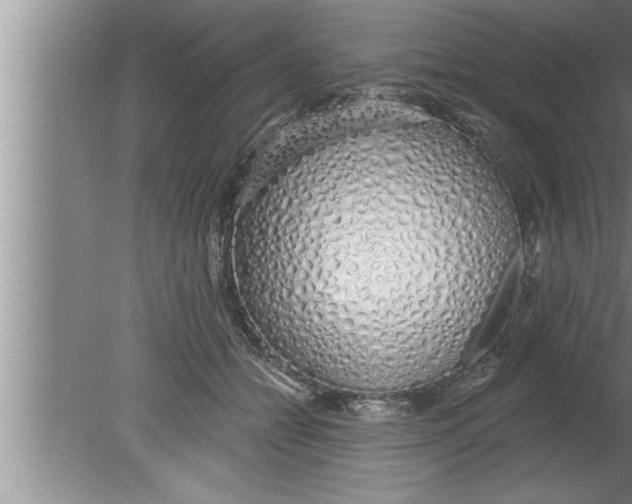 X0000080130558200612302039