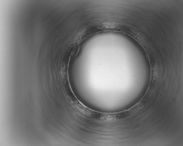 X0000080130559200612302039