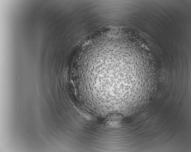 X0000080130560200612302039