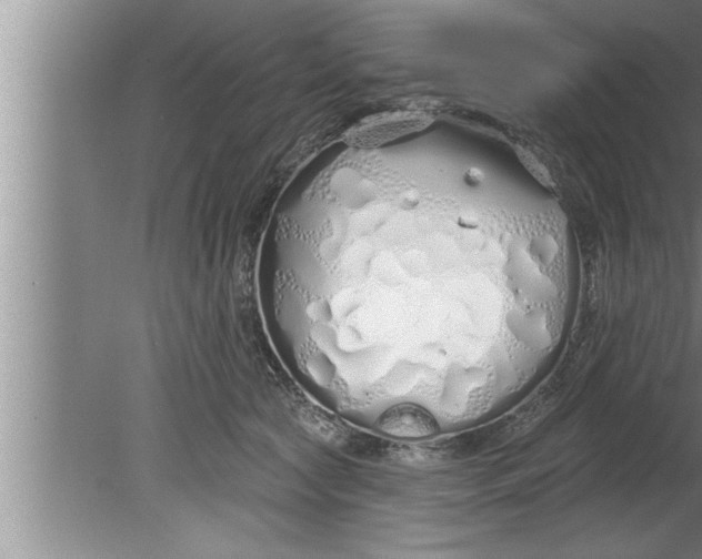 X0000080130561200612302039