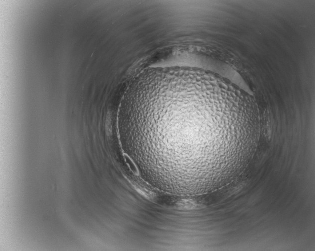 X0000080130562200612302039