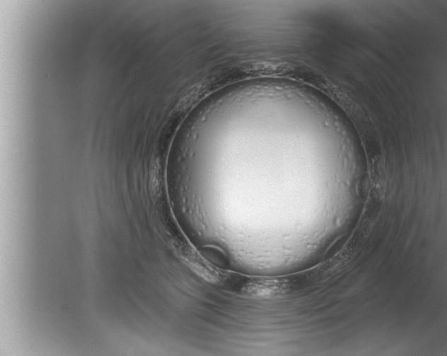 X0000080130563200612302039