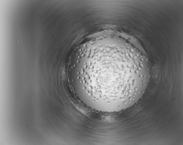 X0000080130564200612302039