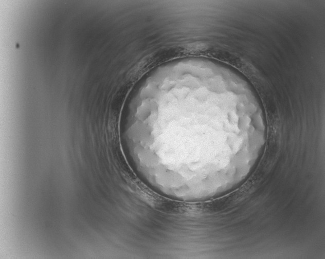 X0000080130565200612302039