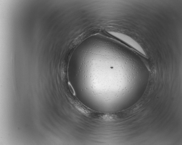 X0000080130566200612302039