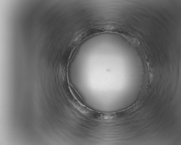 X0000080130568200612302039