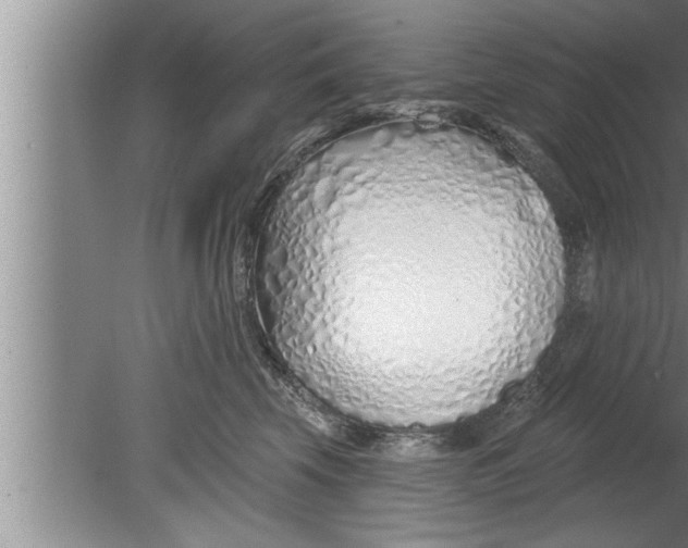 X0000080130569200612302039