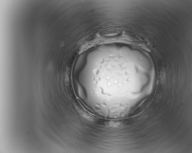 X0000080130570200612302039