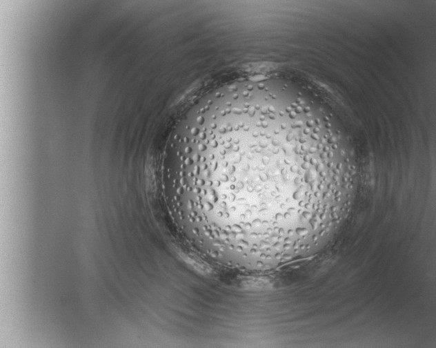 X0000080130572200612302039