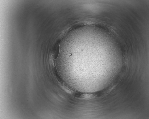 X0000080130575200612302039