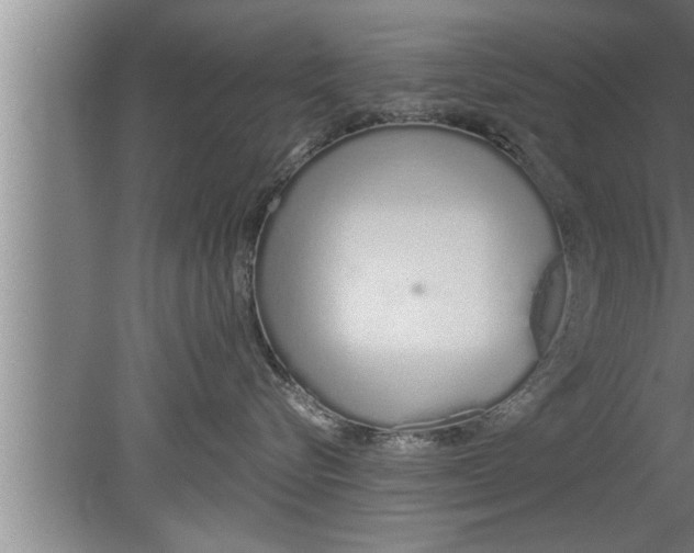 X0000080130576200612302039