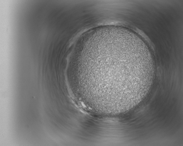 X0000080130577200612302038