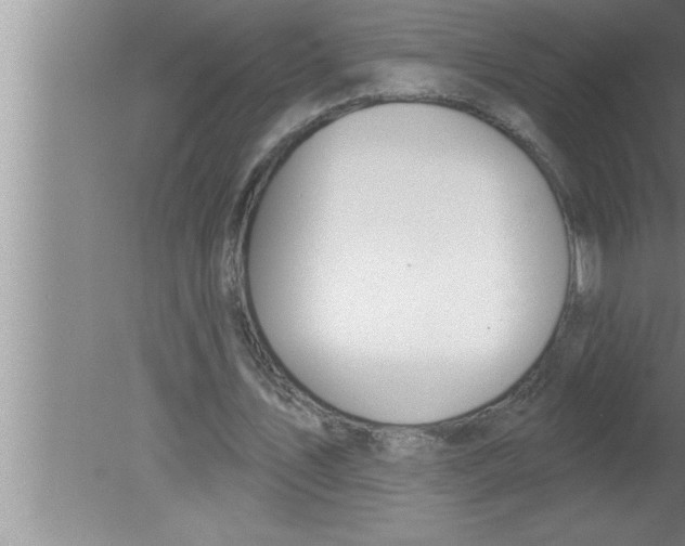 X0000080130579200612302038