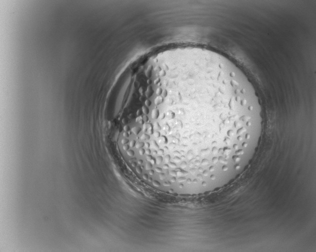 X0000080130580200612302038