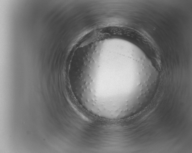 X0000080130581200612302038