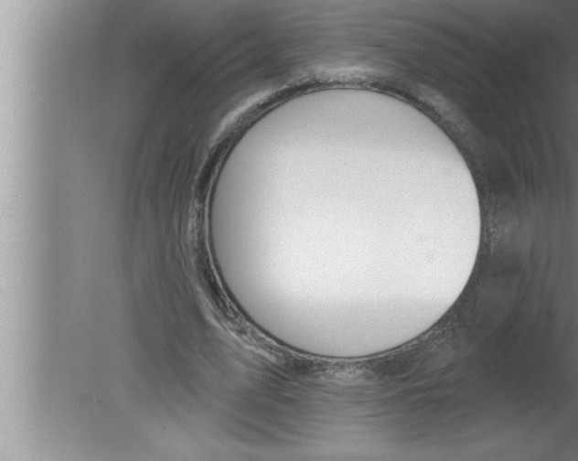 X0000080130583200612302038