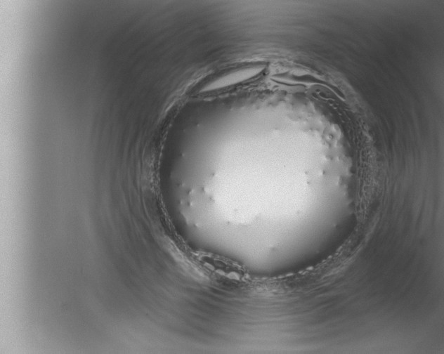 X0000080130585200612302038