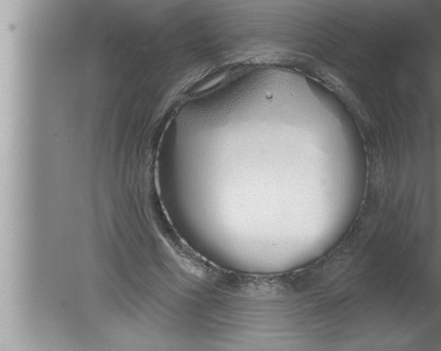 X0000080130586200612302038