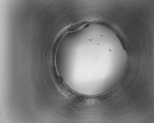 X0000080130587200612302038