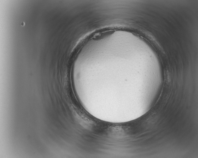 X0000080130588200612302038