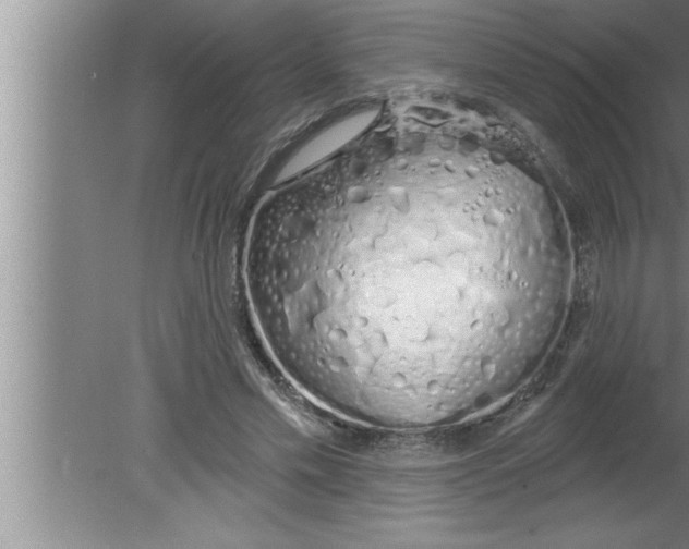 X0000080130589200612302038