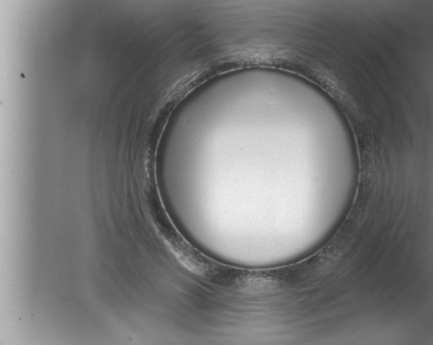 X0000080130590200612302038