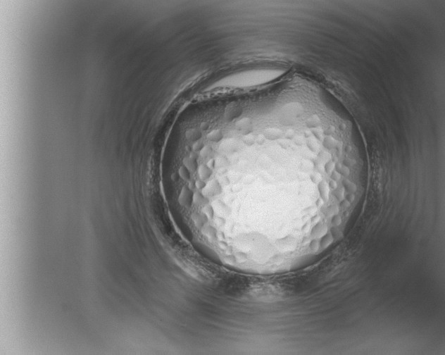 X0000080130591200612302038