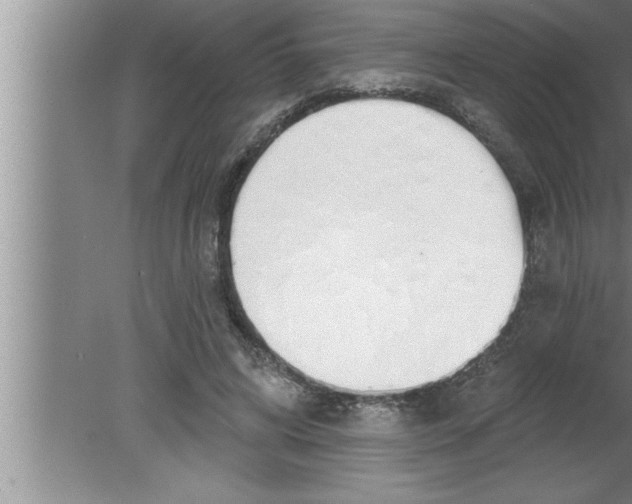 X0000080130592200612302038