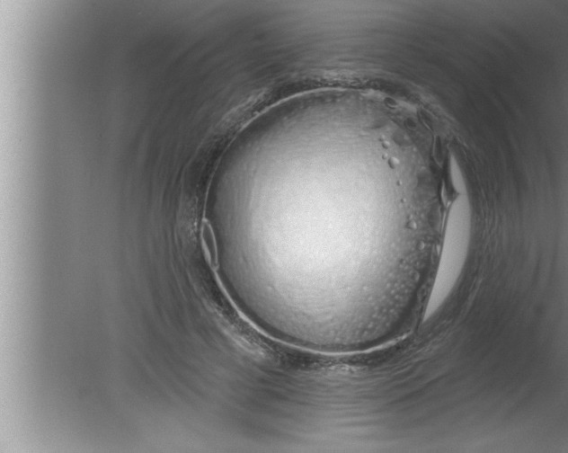 X0000080130593200612302038