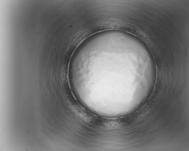 X0000080130594200612302038