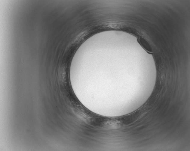 X0000080130595200612302038