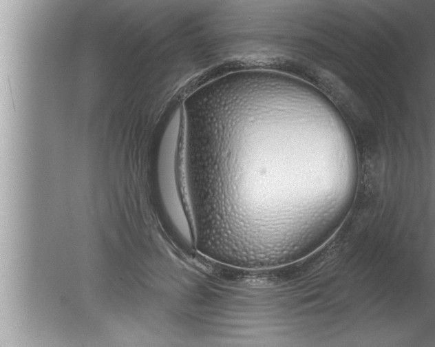 X0000080130596200612302038