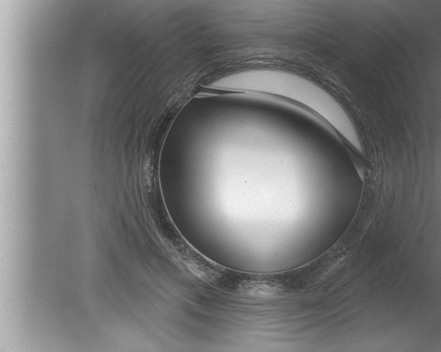 X0000080130597200612302038