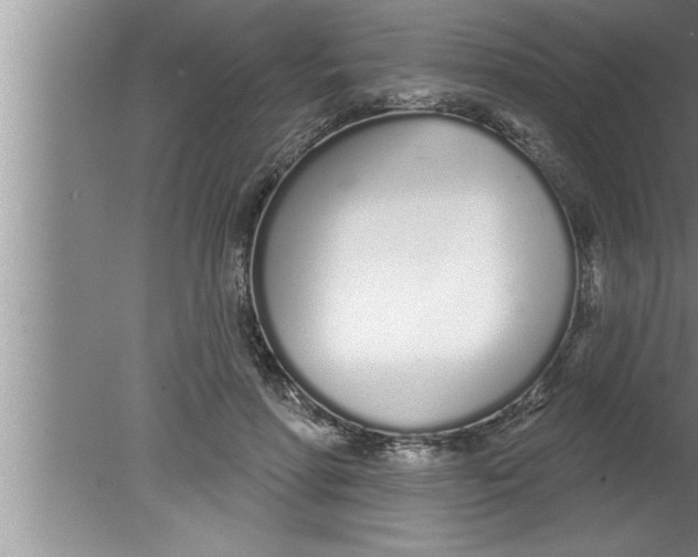 X0000080130598200612302038