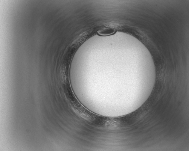 X0000080130599200612302038