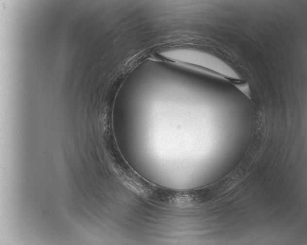 X0000080130600200612302038