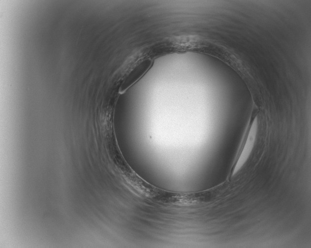 X0000080130601200612302038