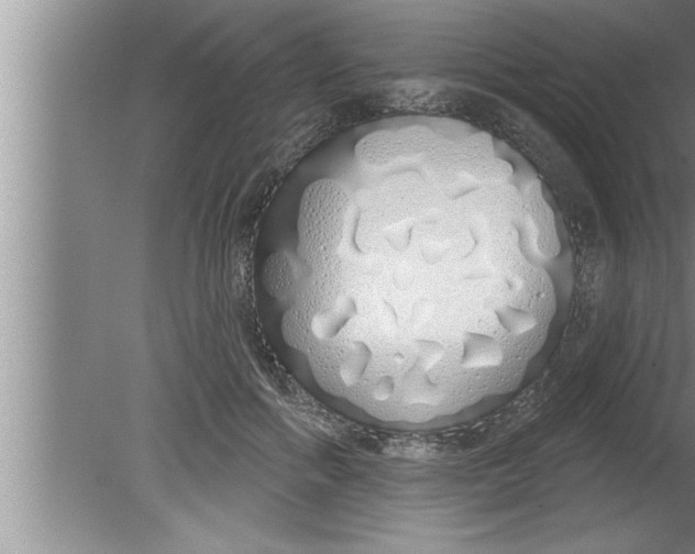 X0000080130602200612302038