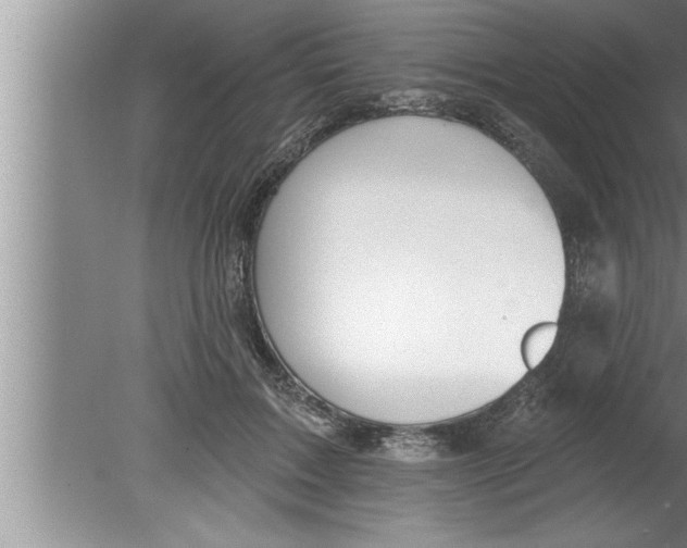 X0000080130603200612302038