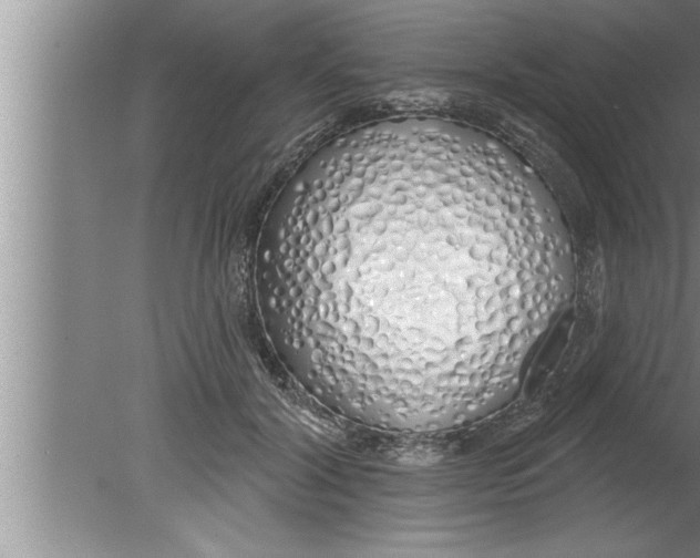 X0000080130604200612302038