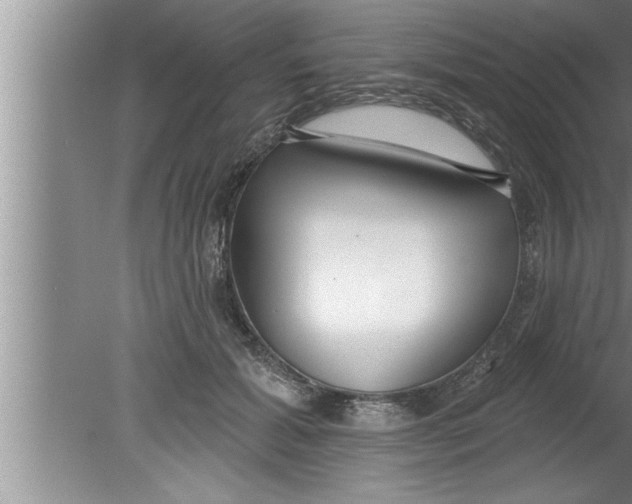 X0000080130605200612302038