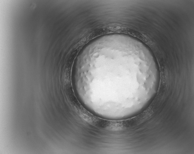 X0000080130606200612302038